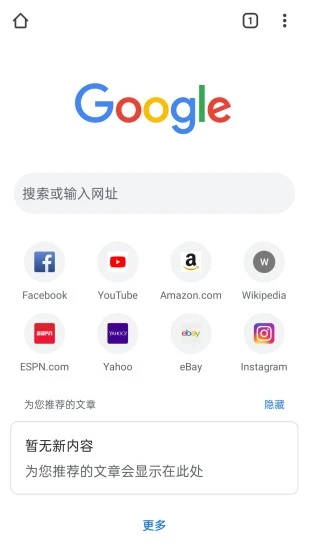 chrome浏览器图3