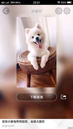 爱壁纸app v8.0.3 安卓版图3