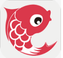 小鲤鱼育儿app v6.2.1 安卓版