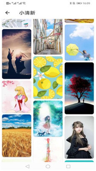 花样壁纸app v1.0.5 安卓版图4