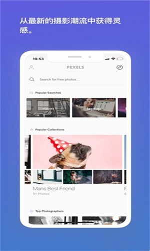 Pexels app v1.0.0 手机版图2