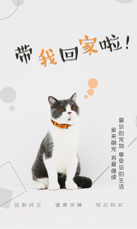 猫行狗市APP2021最新版