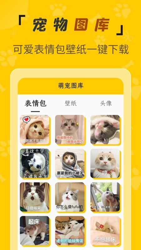 人猫翻译机APP手机免费版