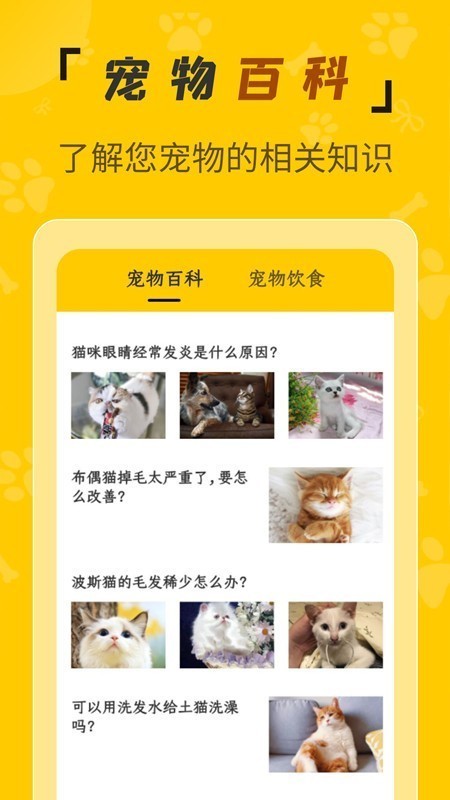 人猫翻译机APP手机免费版图3