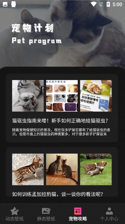 猫咪壁纸APP手机版图2