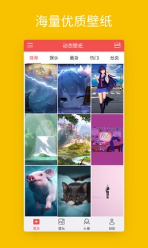 七天壁纸app最新破解版