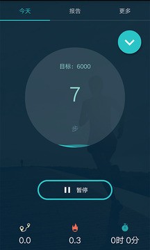 计步器app手机版图2