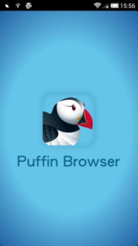 puffin最新版图1