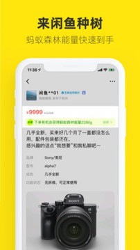 闲鱼app最新版图3