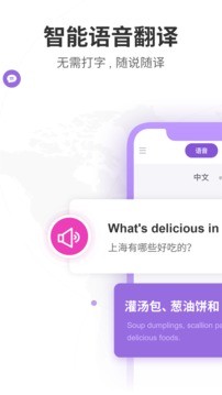 语音翻译器app免费版图2