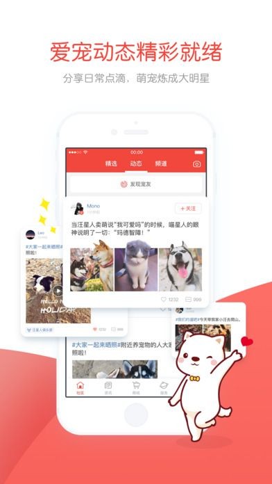 有宠app最新版图1