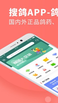 搜鸽网app最新版图2