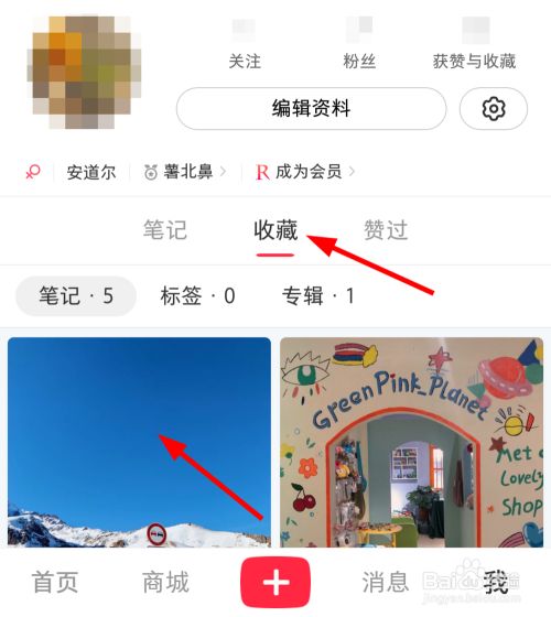 小红书app如何删除收藏的笔记？整理收藏内容三步到位