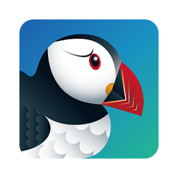 puffin浏览器app安卓版