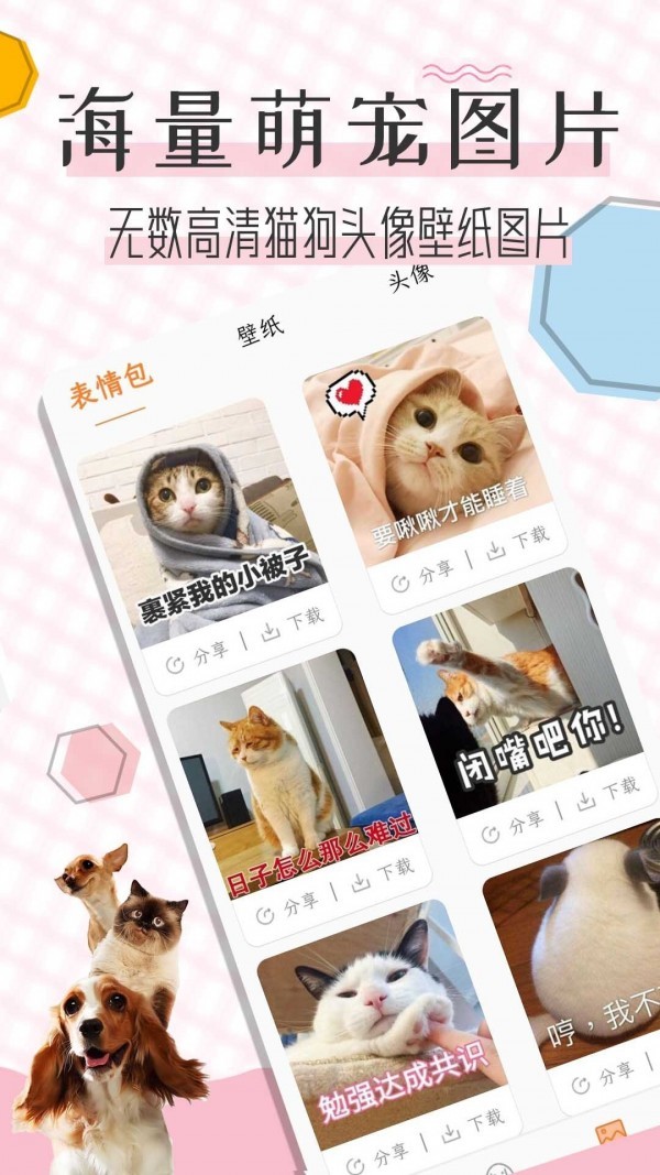 猫语翻译宝APP手机免费版图2